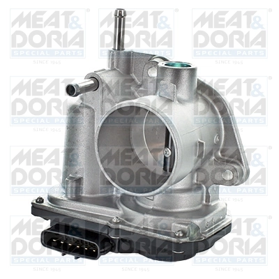 Throttle Body